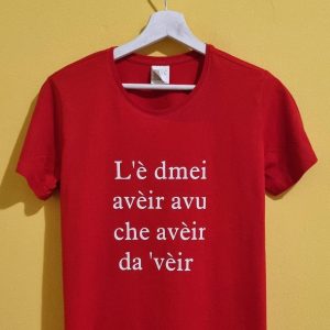 Lè DMEI AVER AVU CHE AVEIR DA VEIR