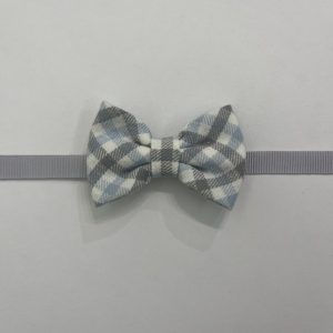 Papillon scozzese celeste e grigio Ambarabà