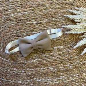 Pappilon cammello Ambarabà