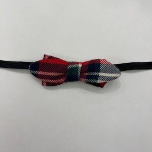 Papillon scozzese rosso